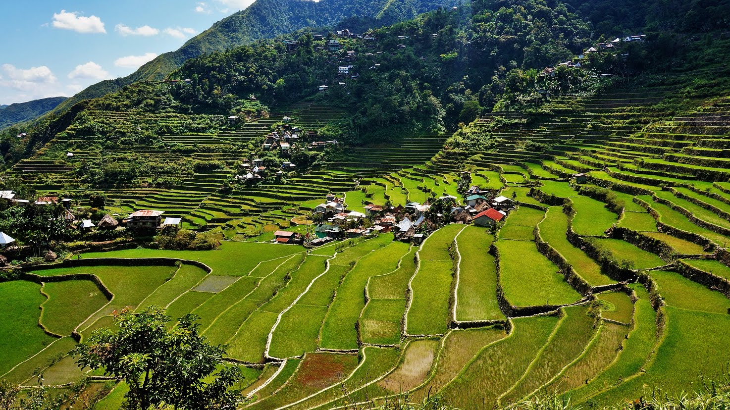 Ifugao-Rice-Terraces