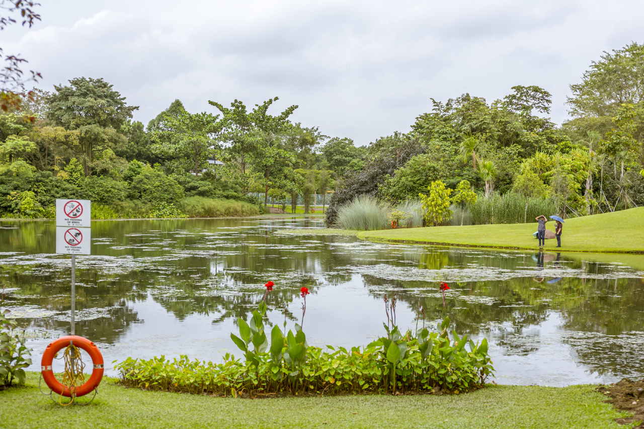 -Singapore-Botanic-Gardens