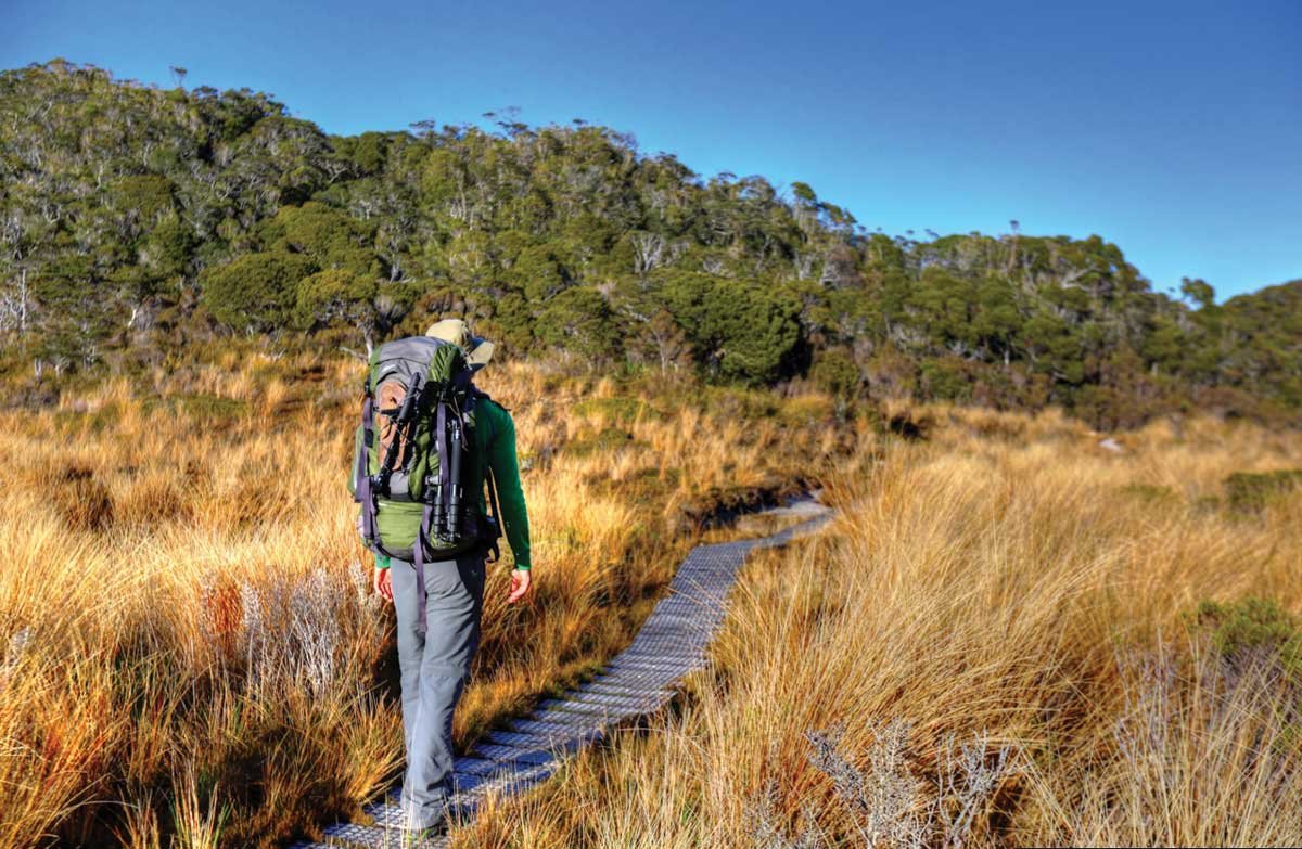 Heaphy Track