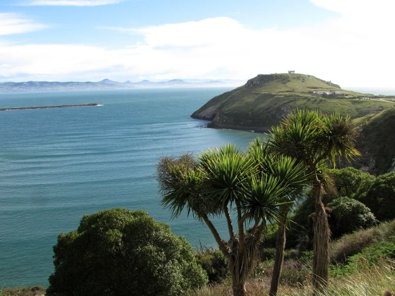 Otago Peninsula