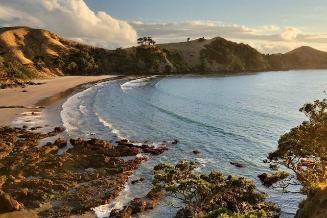 the Hauraki Gulf and Islands